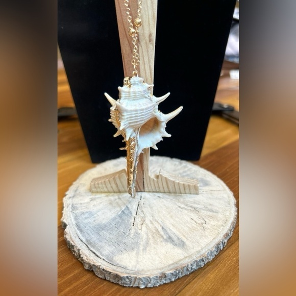 Boutique Beachy Conch Shell Pendant Necklace with Gold-Toned Cable Chain - Picture 10 of 13